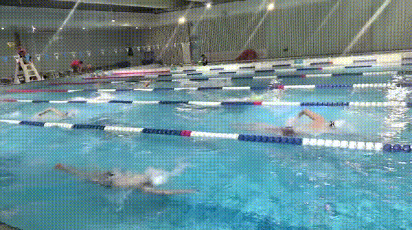 迈出这一步，真的很忐忑！ —— 弱弱的我，鼓足勇气与同行们分享有氧训练心得！